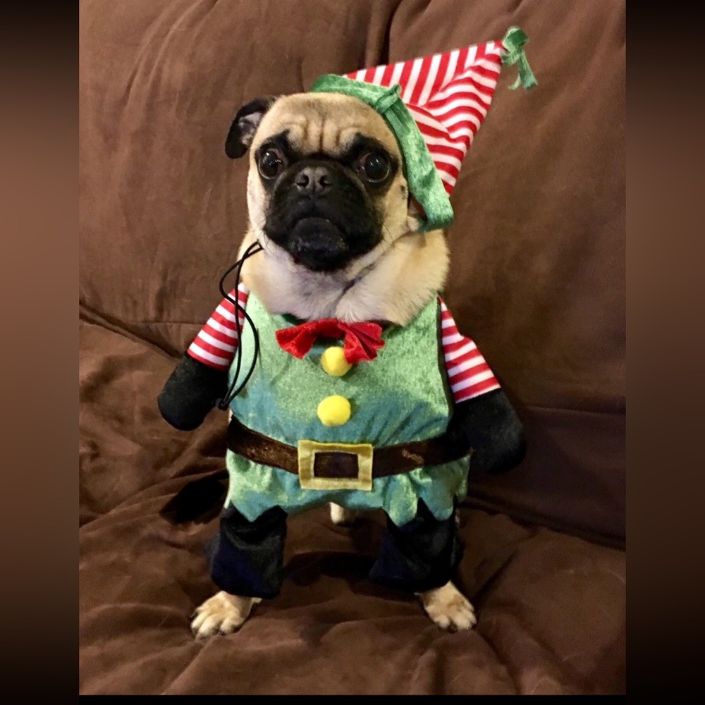 Elf outfit, like new condition… Size medium/large